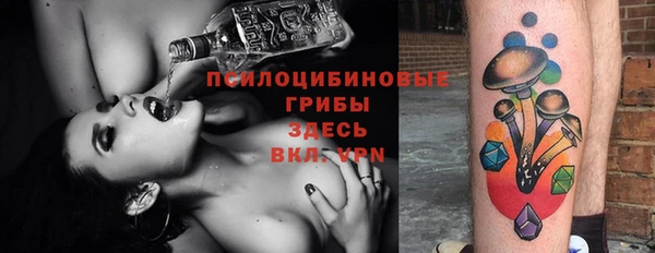 эйфоретик Касимов