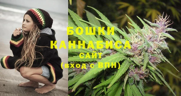 сатива Карталы