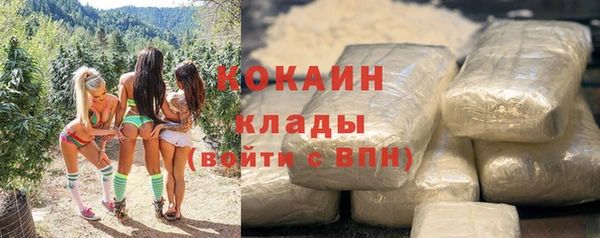 сатива Карталы