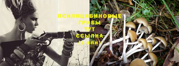 мескалин Каменногорск