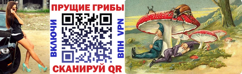 Псилоцибиновые грибы прущие грибы  Купить где  Куровское 
