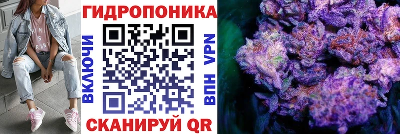 Шишки марихуана тримм  Купить закладки  Куровское 