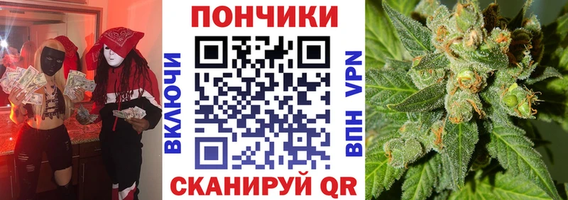 МАРИХУАНА конопля Куровское